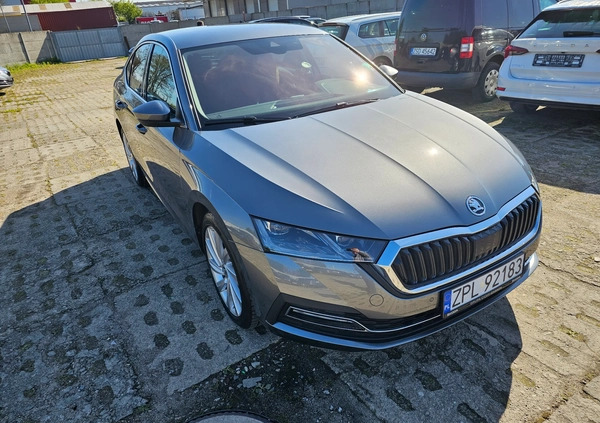 Skoda Octavia cena 134999 przebieg: 7170, rok produkcji 2023 z Brwinów małe 301